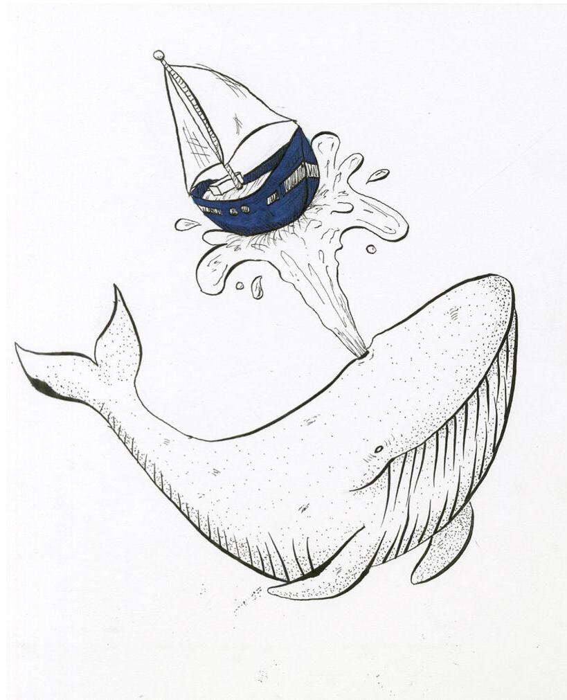 Sail illustration series by 道格拉斯•托马斯